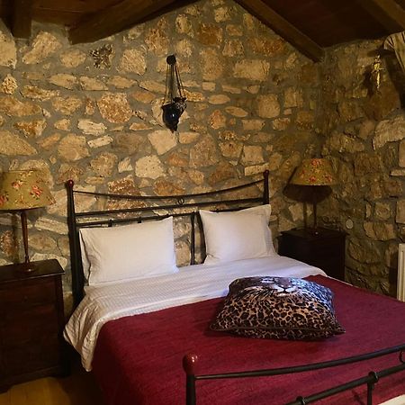 Archontiko Fiamegou Hotel&Spa Synikia Mesi Trikalon Dış mekan fotoğraf